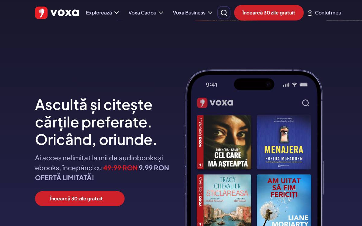 Voxa website preview