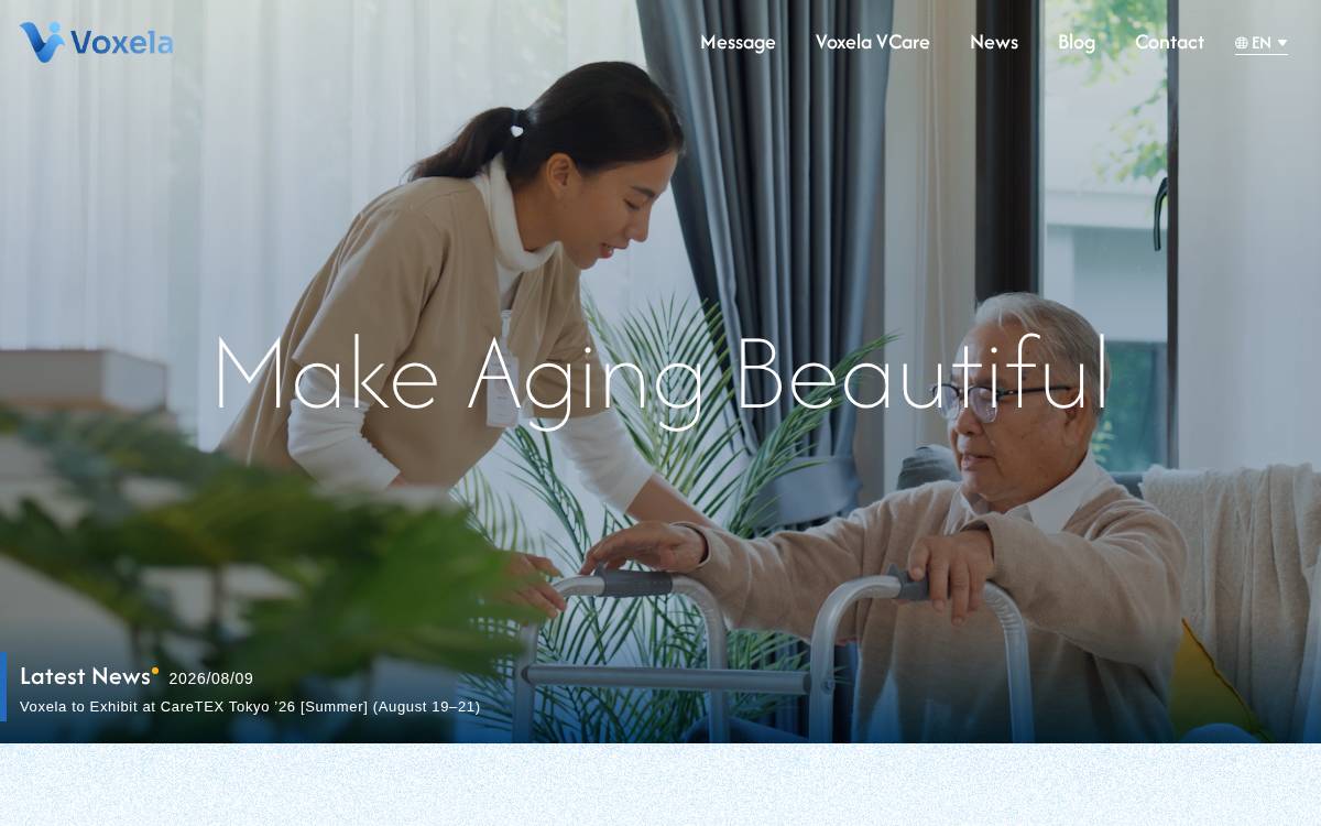 Voxela website preview