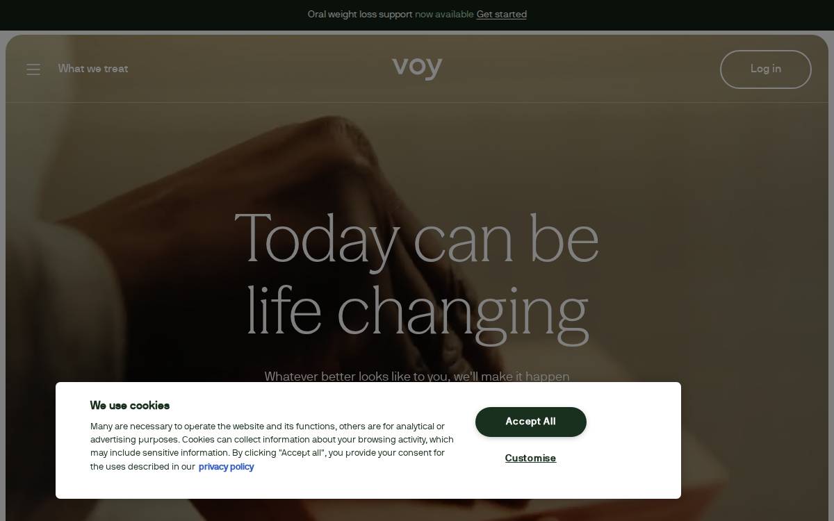 Voy website preview