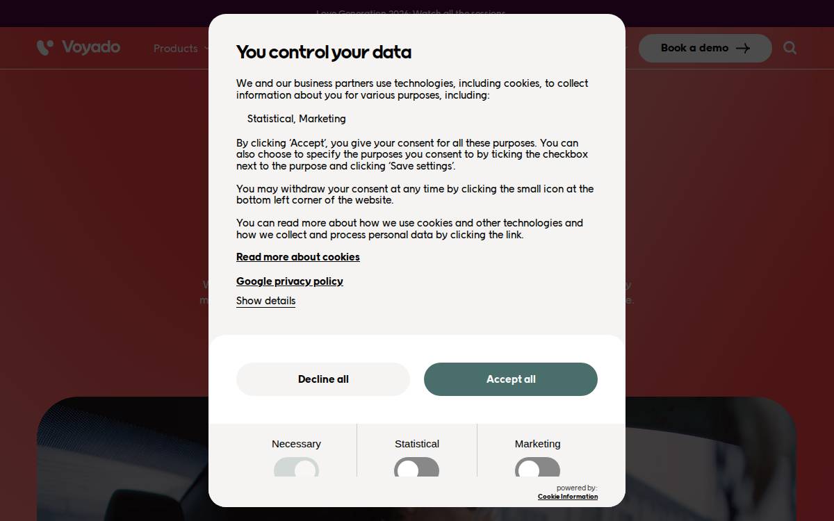 Voyado website preview