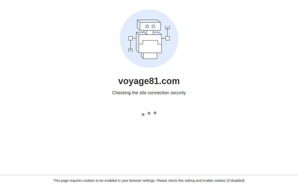 Voyage 81 website preview