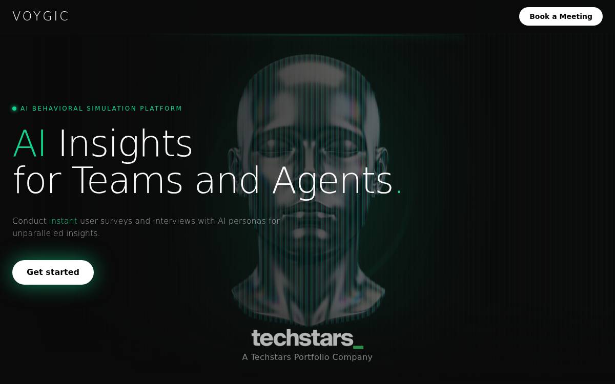 Voygic website preview
