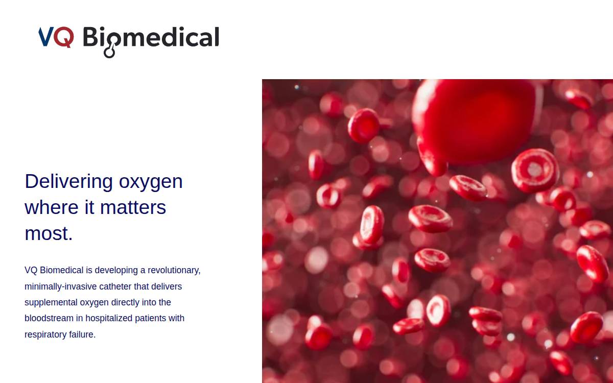 VQ Biomedical website preview