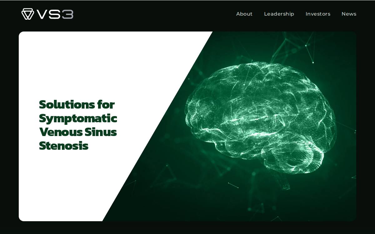 Vs3 website preview