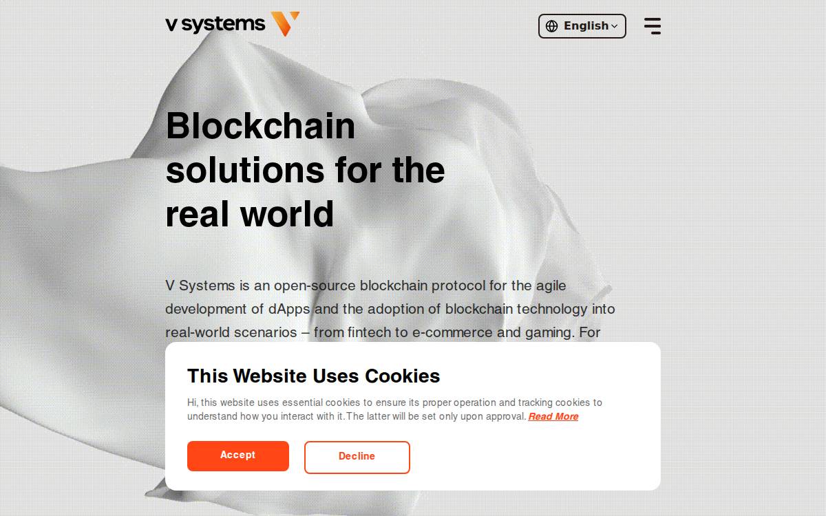VSYS website preview
