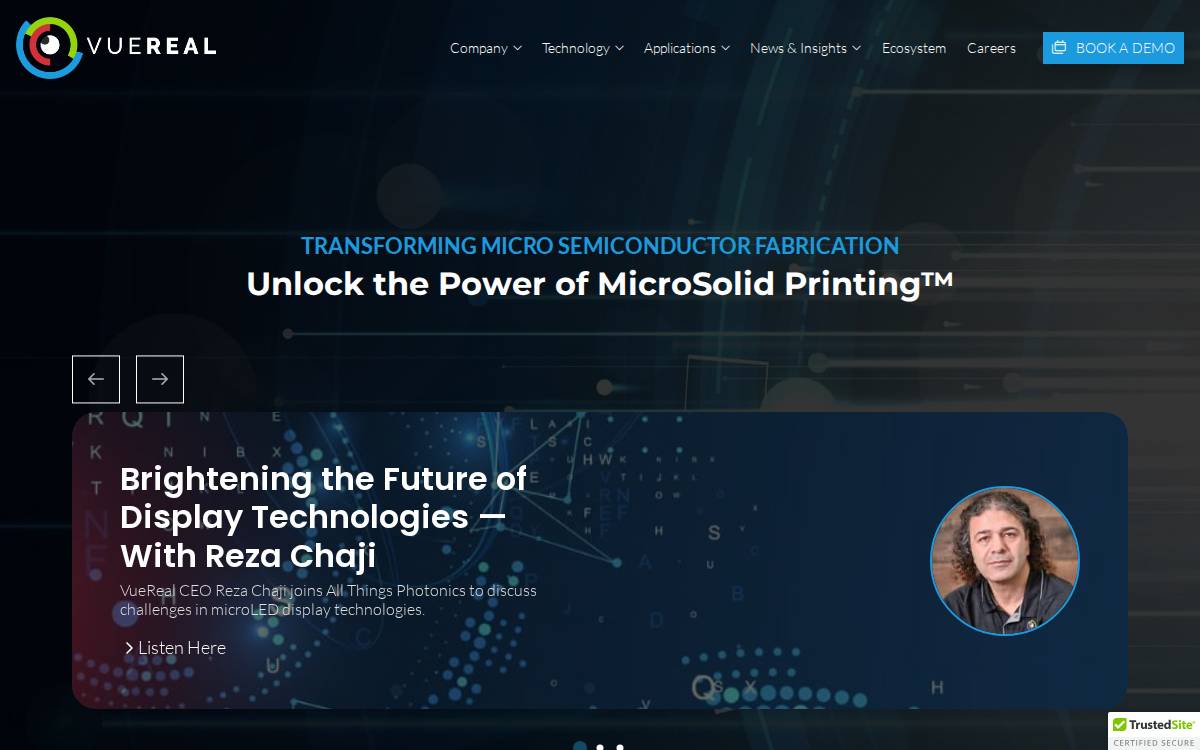 VueReal website preview