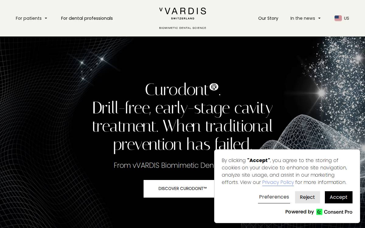 Vvardis website preview