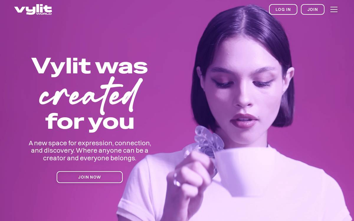 Vylit website preview