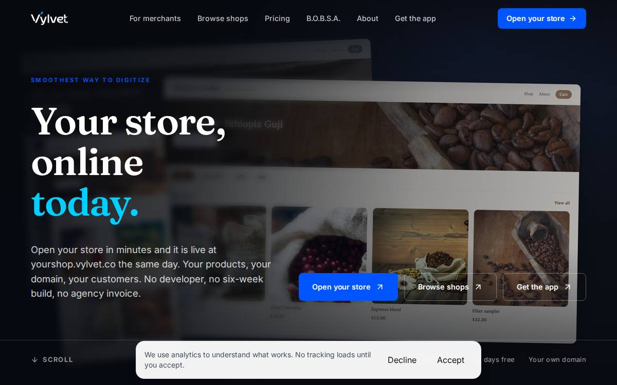 Vylvet website preview