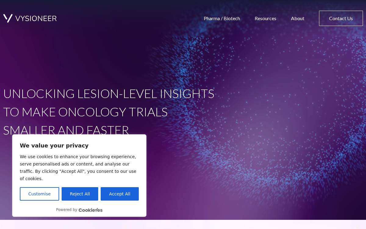 Vysioneer website preview