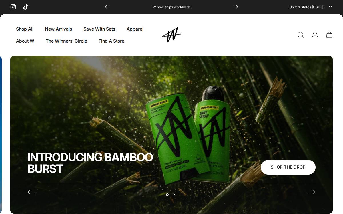 W website preview