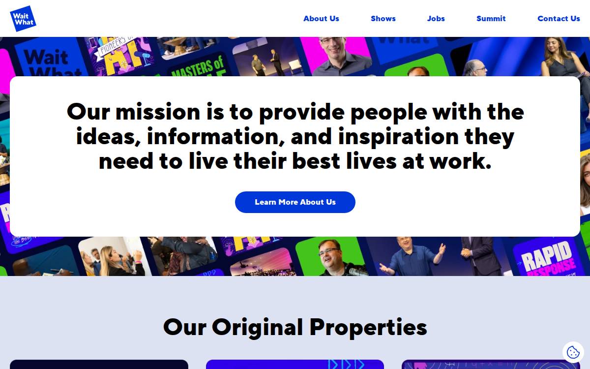Wait What website preview
