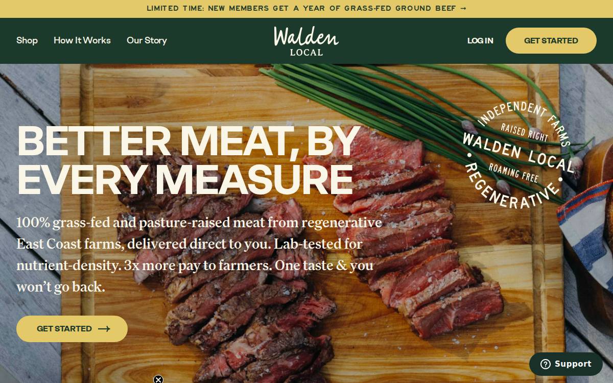 Walden Local website preview