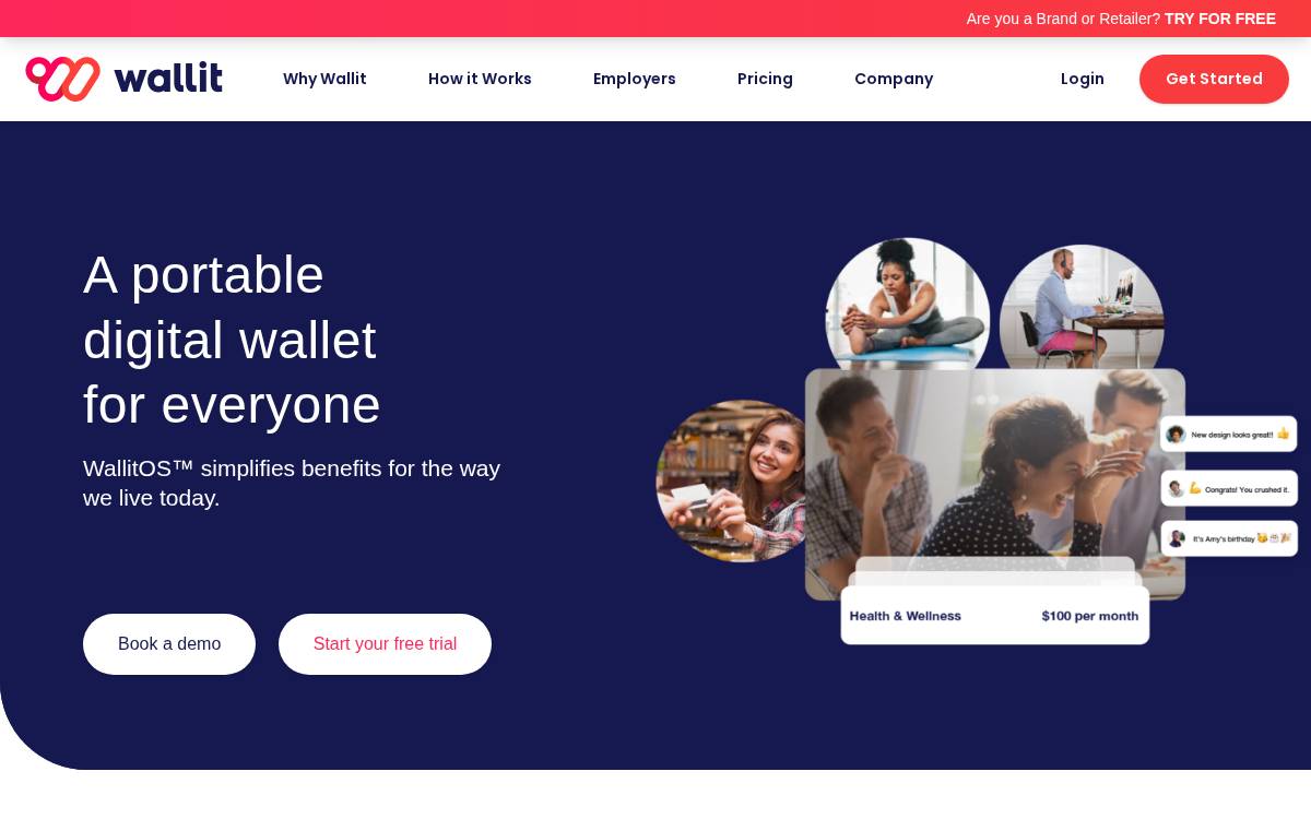 Wallit website preview