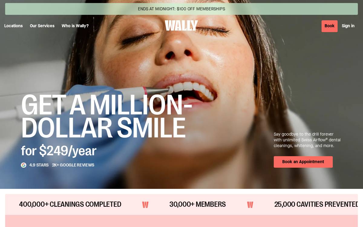 Wally website preview