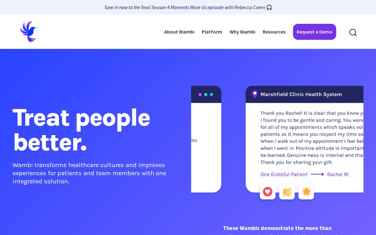 Wambi website preview