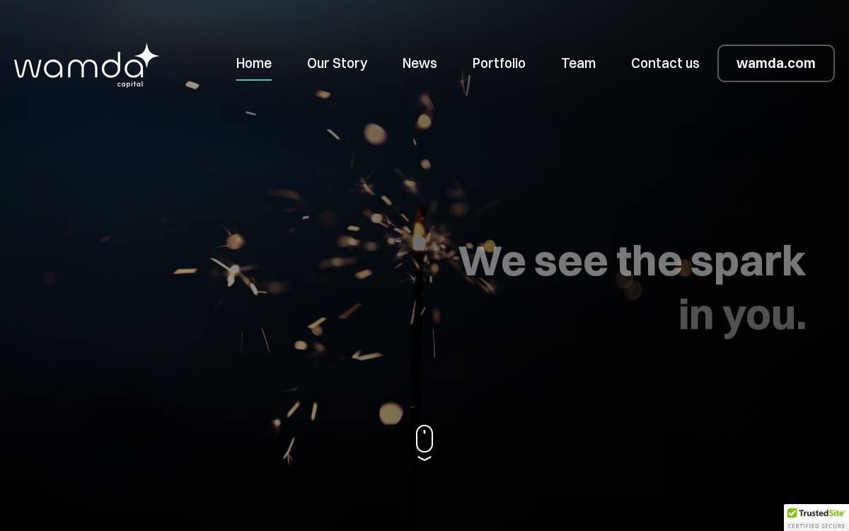 Wamdacapital website preview
