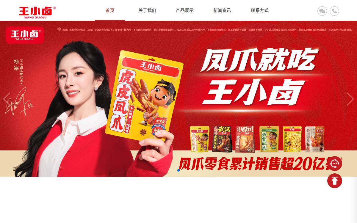Wangxiaolu website preview