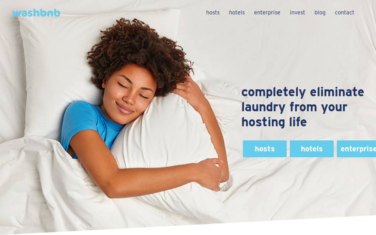 Washbnb website preview