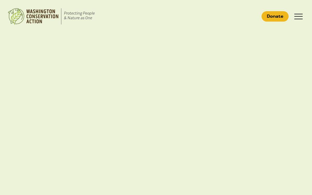 Washington Conservation Action Education Fund website preview