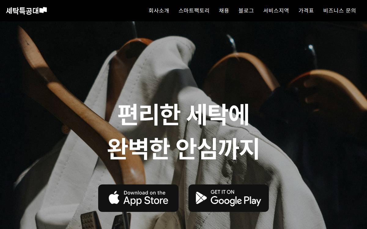 WashSwat website preview