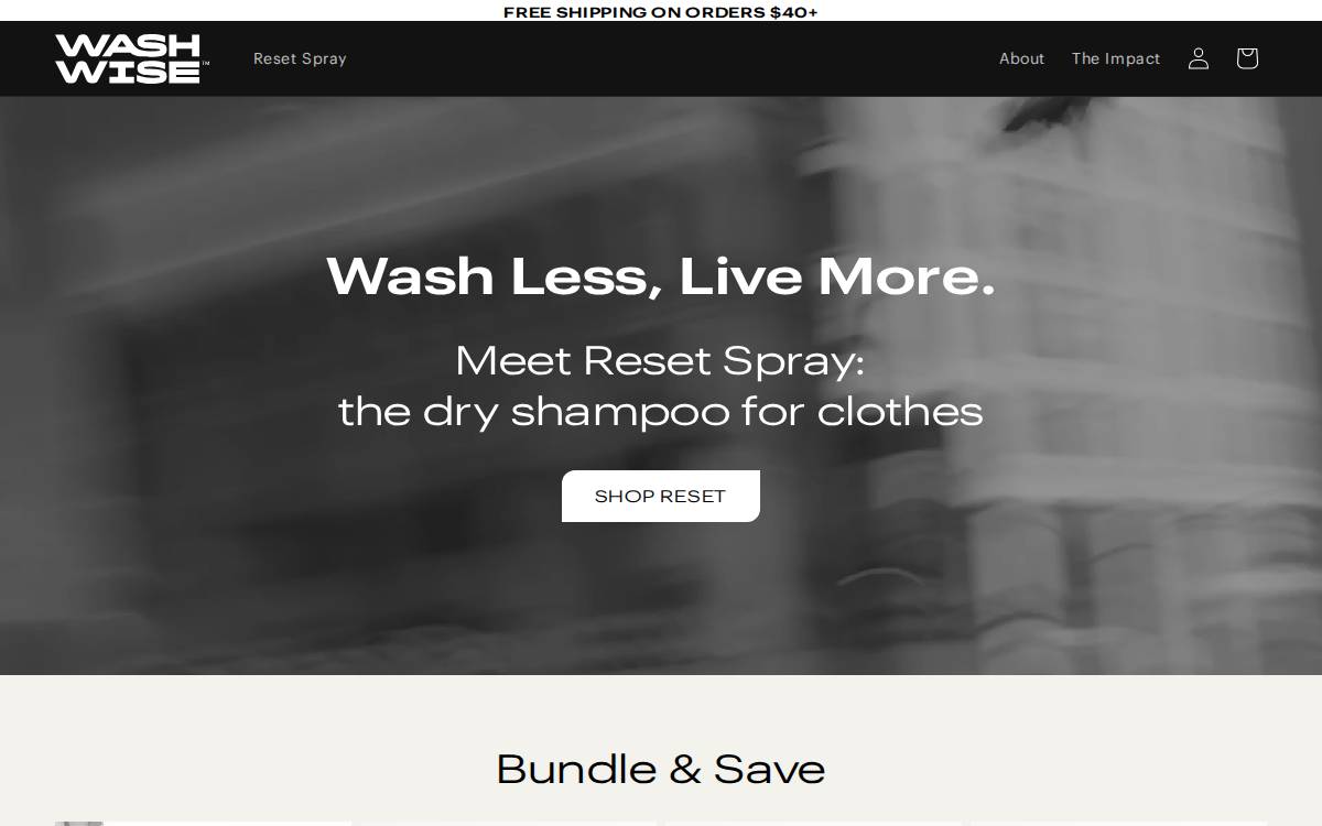 WashWise website preview
