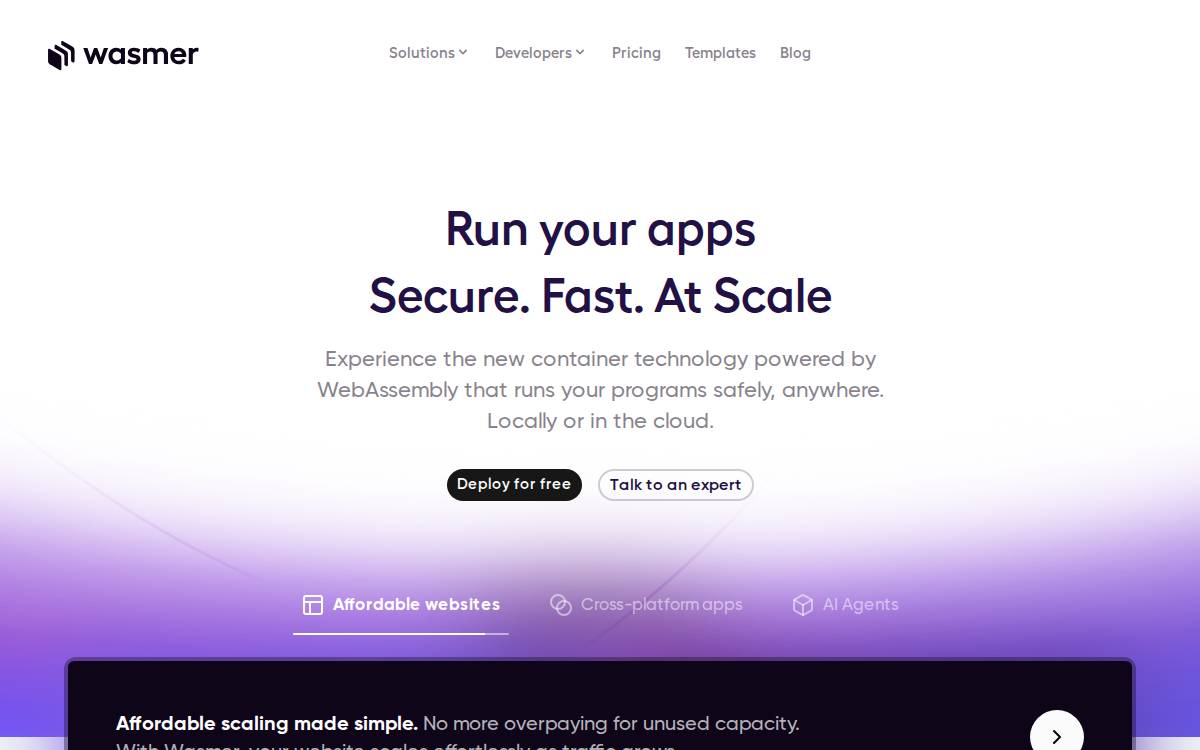 Wasmer website preview