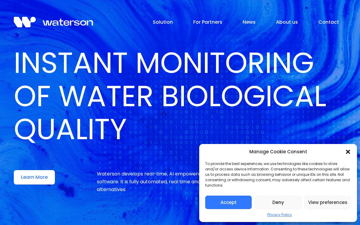 Waterson website preview