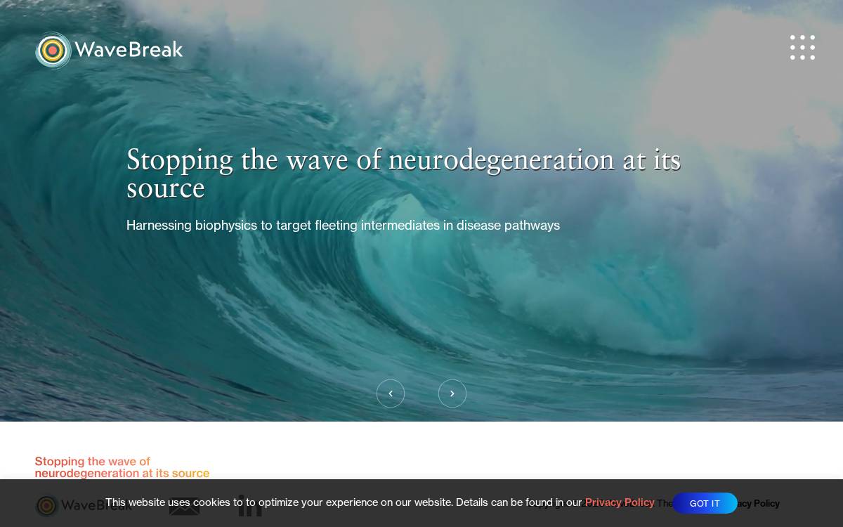 Wavebreaktx website preview