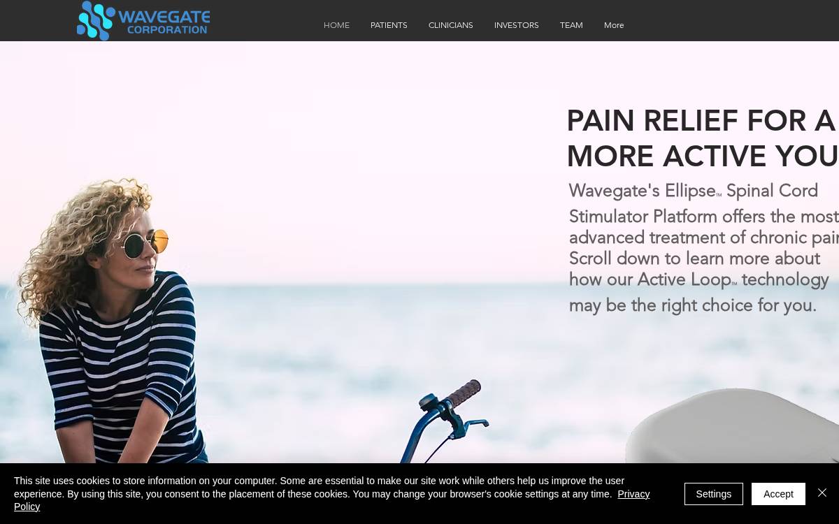 Wavegate website preview