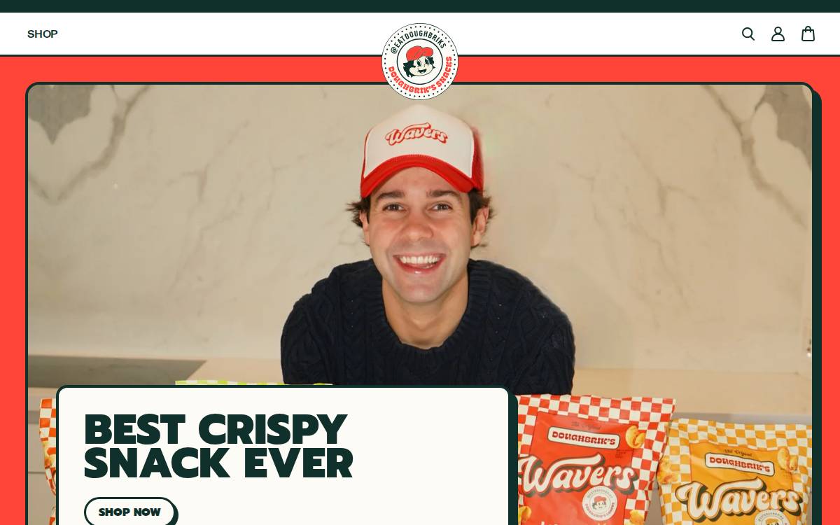 Wavers ACTIVE website preview