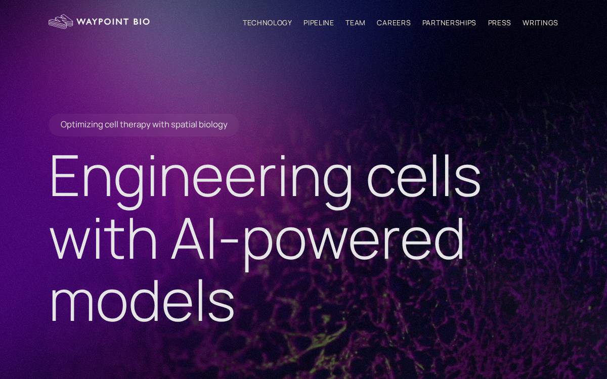 Waypoint Bio website preview