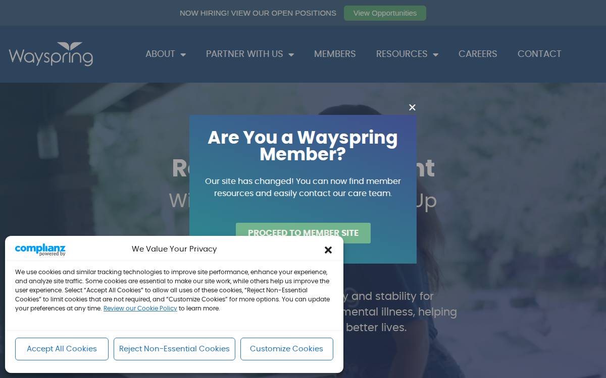 Wayspring website preview