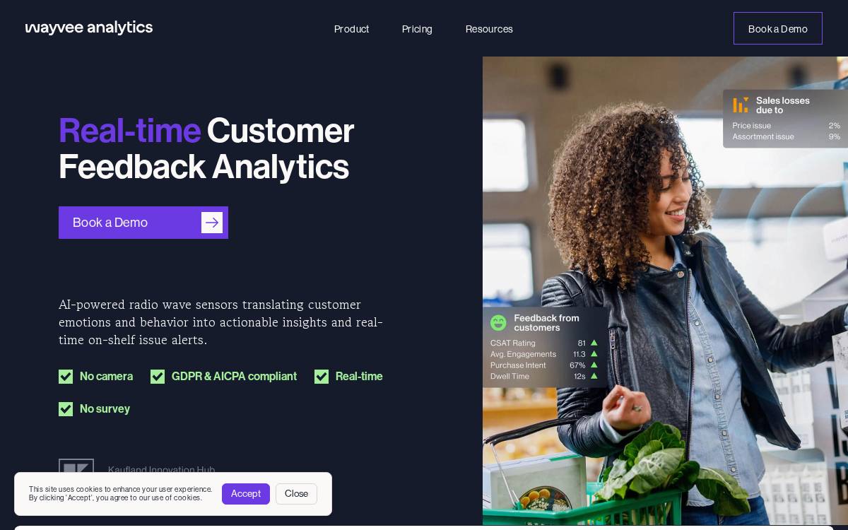 Wayvee website preview
