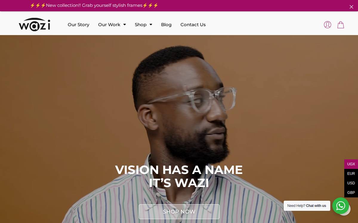 Wazivision website preview