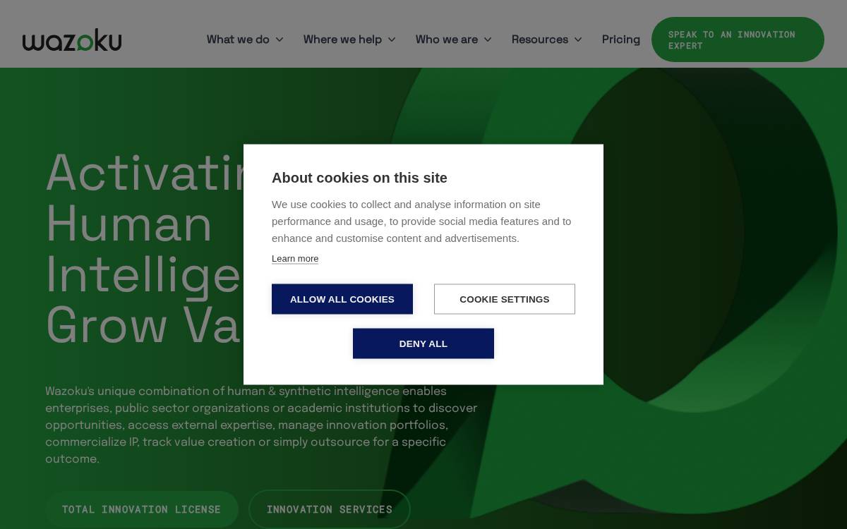 Wazoku website preview