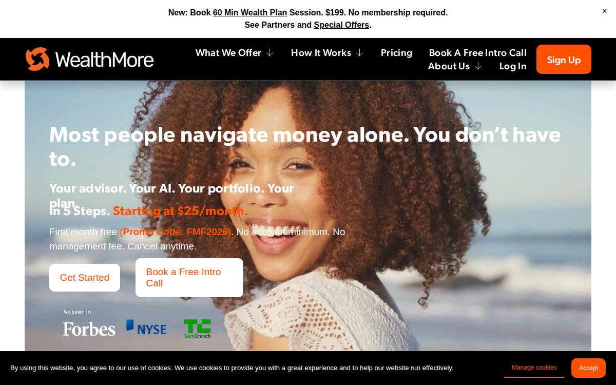 Wealthmore website preview