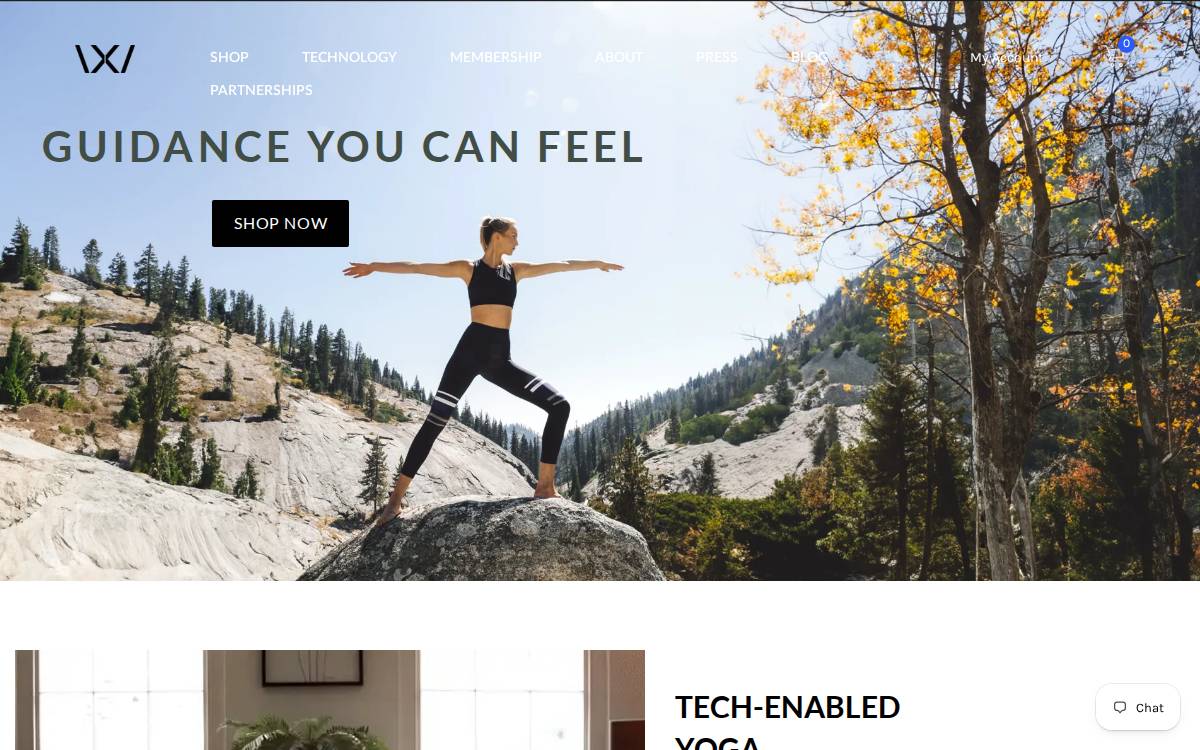 Wearable X website preview