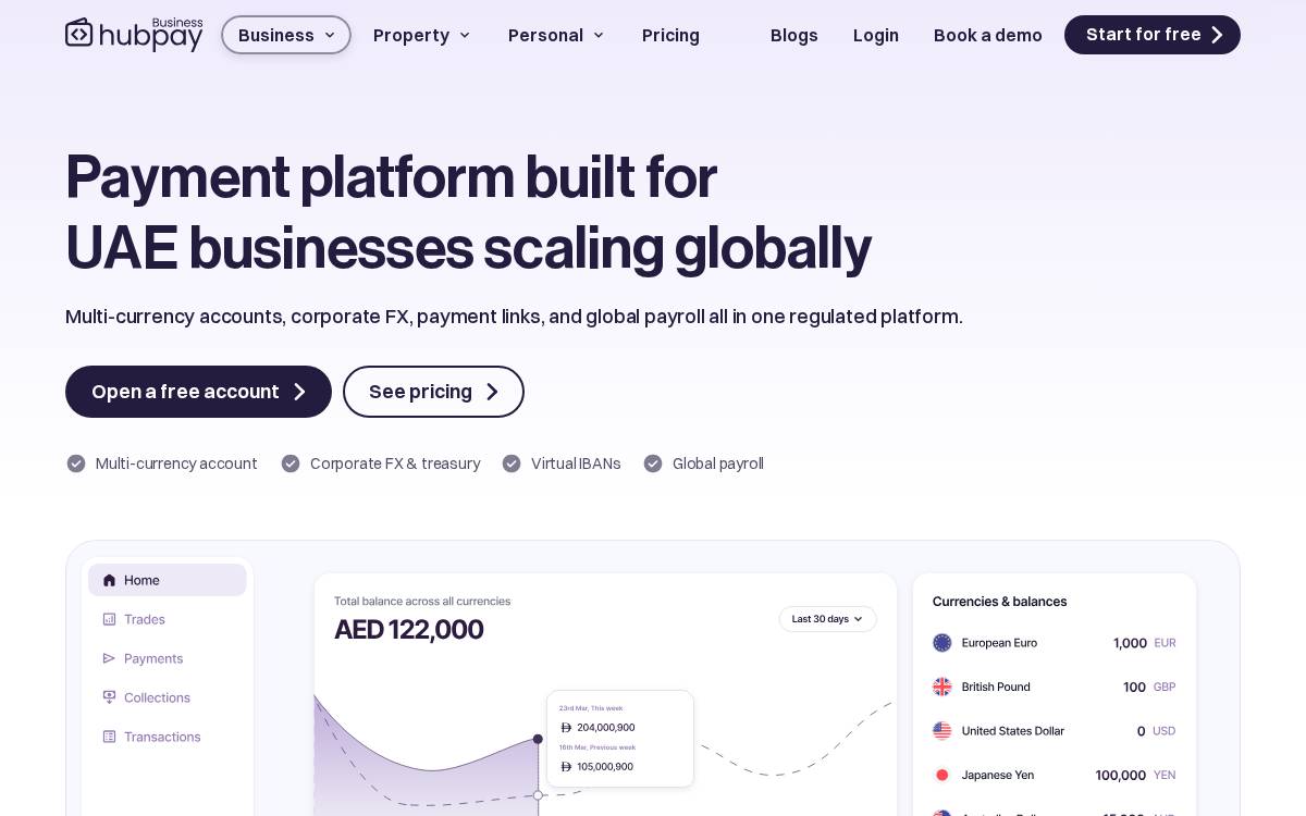 Wearehubpay website preview