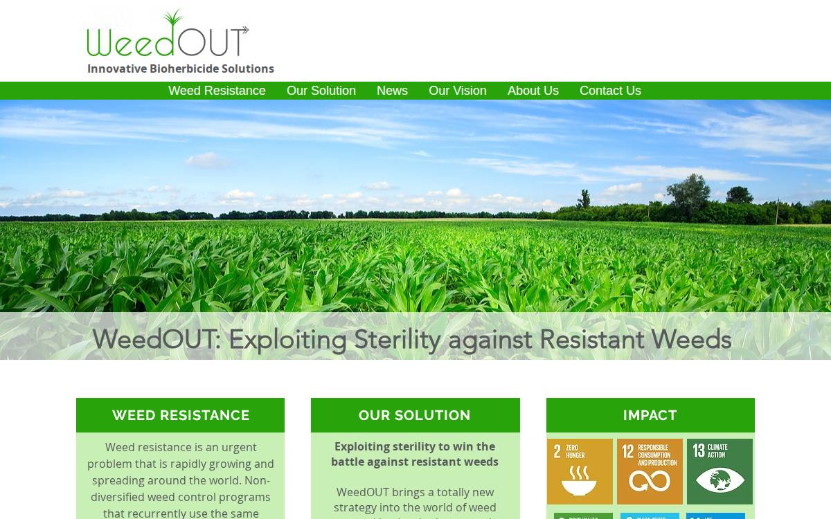 WeedOUT website preview