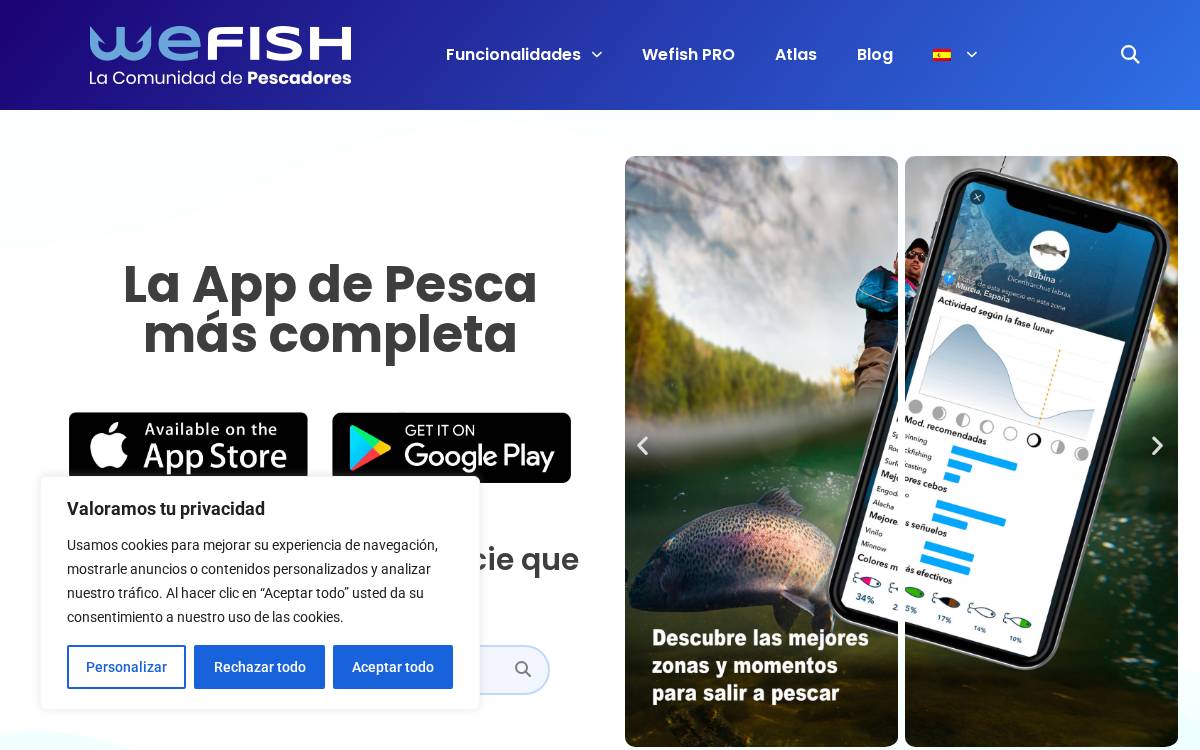 Wefish website preview