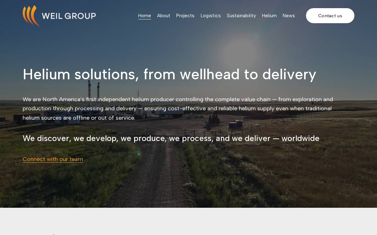 Weil Group website preview