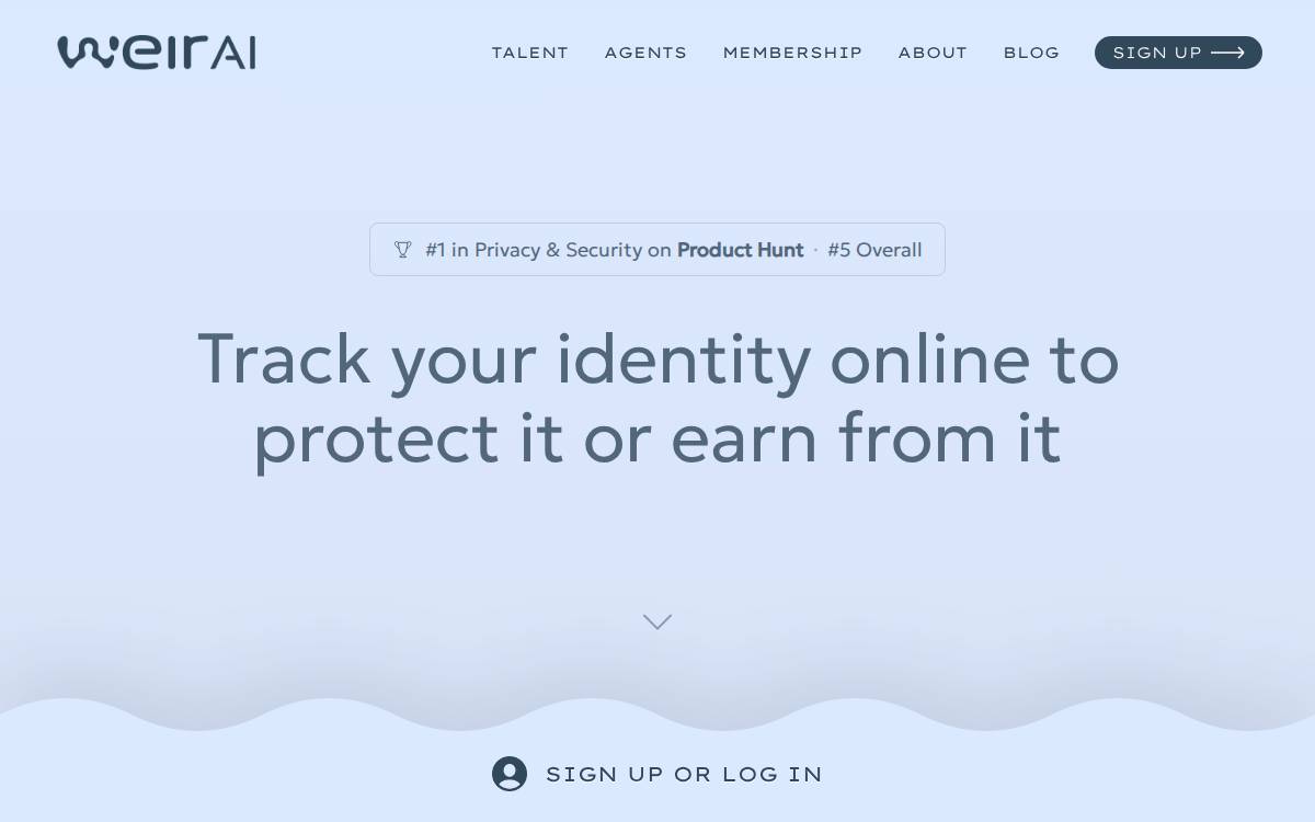 WEIR AI website preview