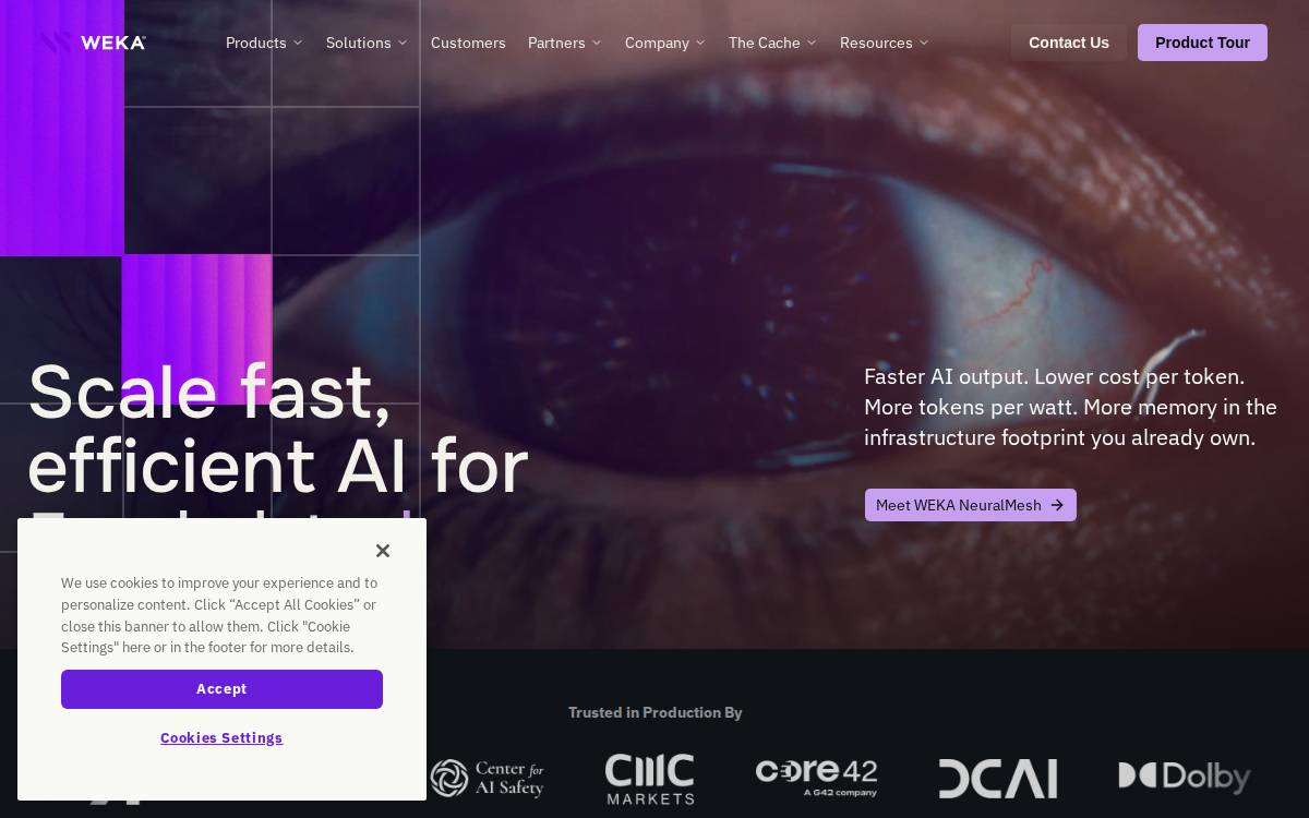 WekaIO, Inc. website preview