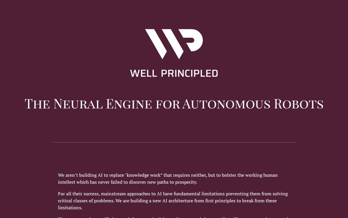 Well Principled website preview