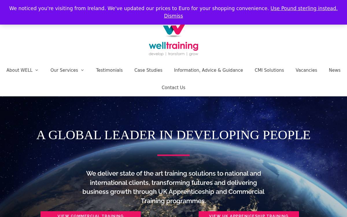 Well Training Seed website preview