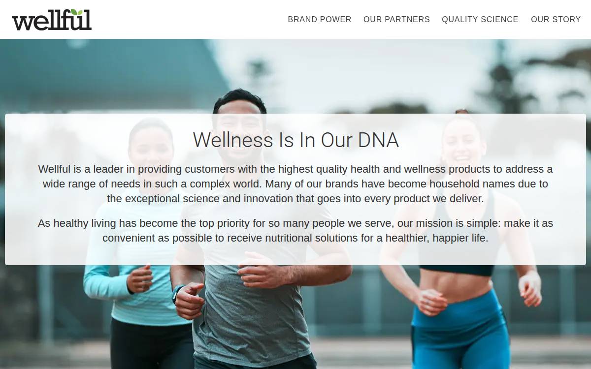 Wellful website preview