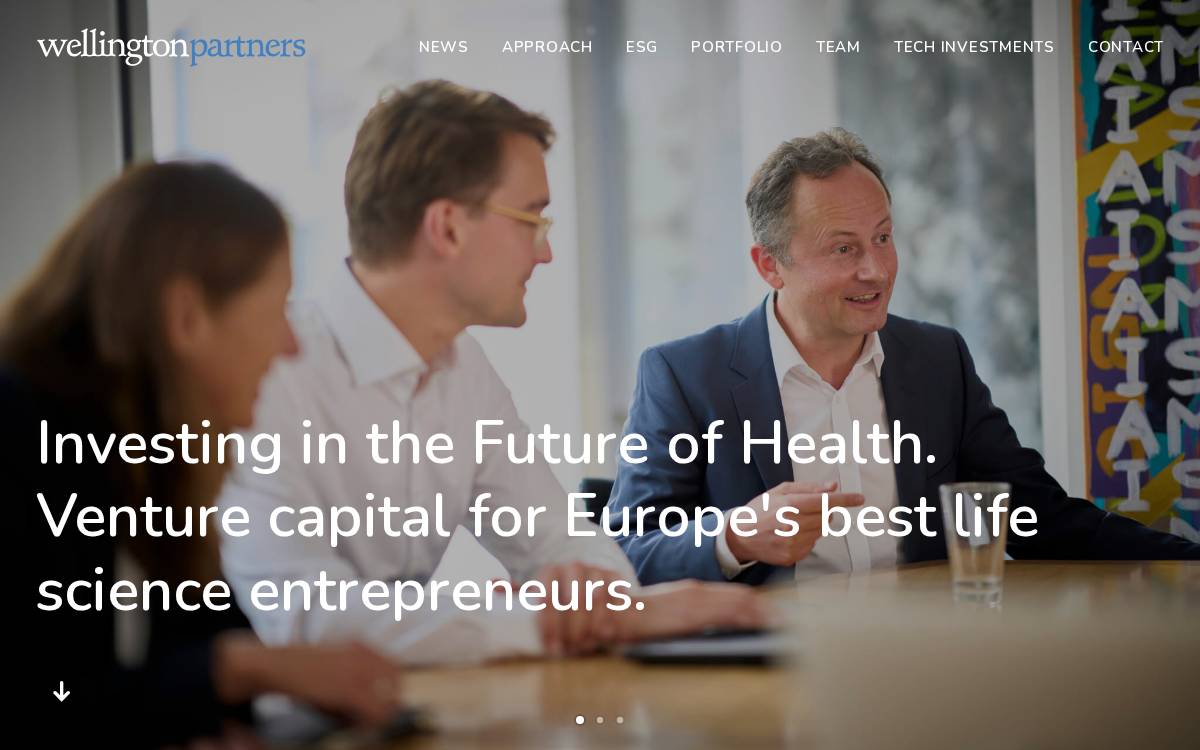 Wellington Partners website preview