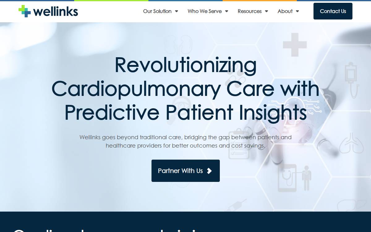 Wellinks website preview