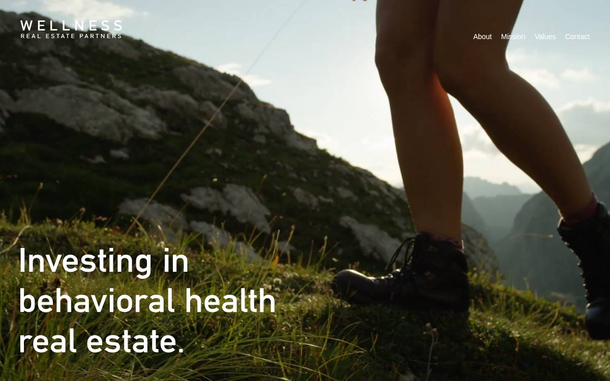 Wellness Re website preview